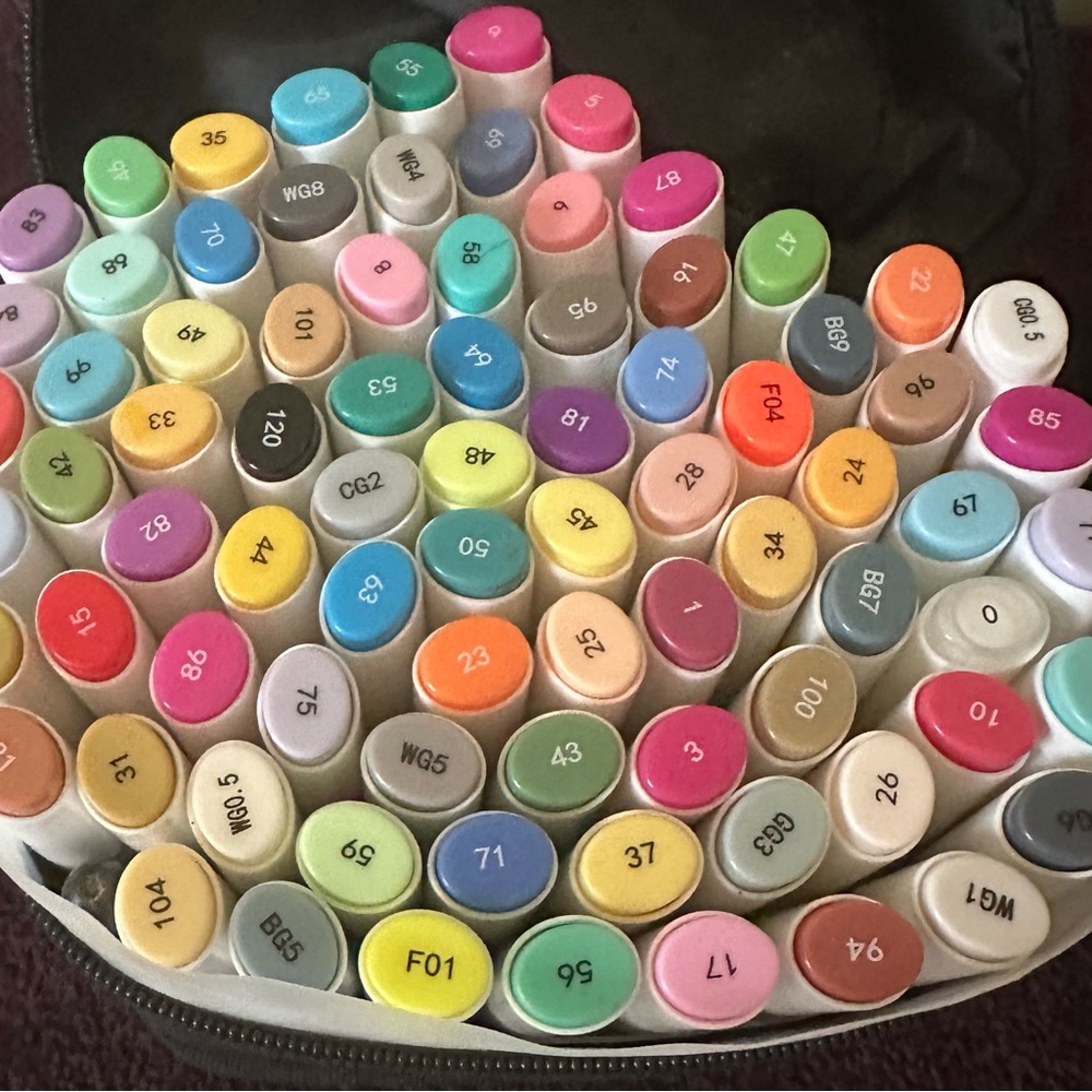 SET OF 80 Ohuhu Alcohol Markers
FINE AND BROAD POINT with case